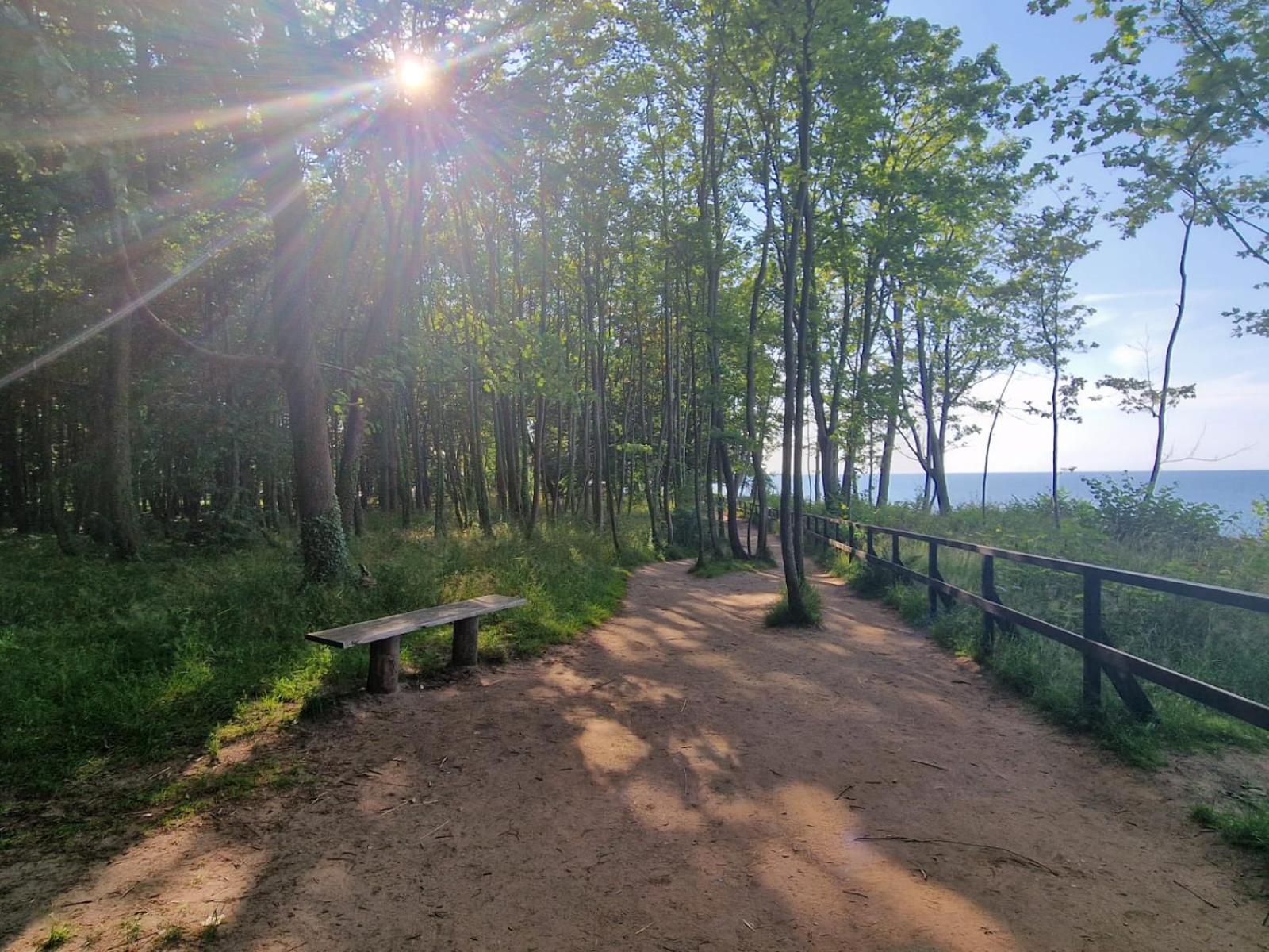 Osrodek Promenada- Domki Jastrzębia Góra Exterior foto