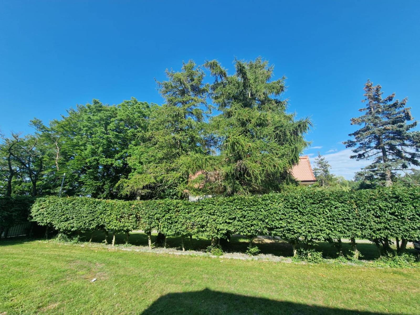 Osrodek Promenada- Domki Jastrzębia Góra Exterior foto